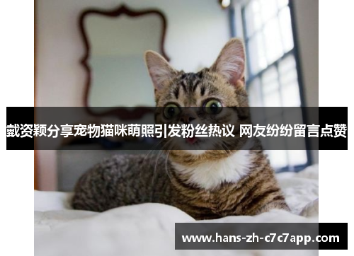 戴资颖分享宠物猫咪萌照引发粉丝热议 网友纷纷留言点赞