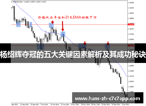 杨绍辉夺冠的五大关键因素解析及其成功秘诀