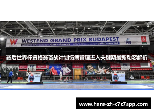 赛后世界杯资格赛备战计划伤病管理进入关键期最新动态解析