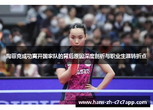 陶菲克成功离开国家队的背后原因深度剖析与职业生涯转折点