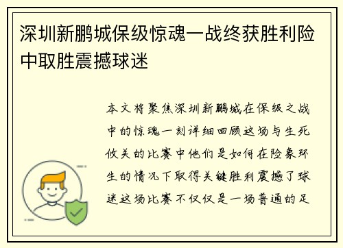 深圳新鹏城保级惊魂一战终获胜利险中取胜震撼球迷